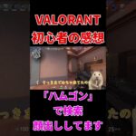 VALORANT初心者が思った感想  #valorant #short #shorts