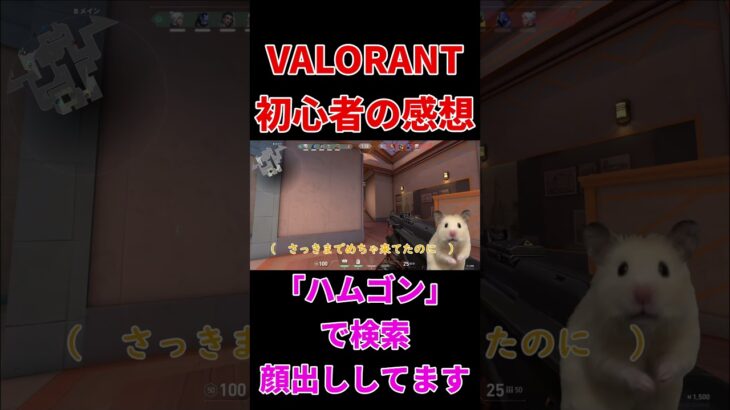 VALORANT初心者が思った感想  #valorant #short #shorts