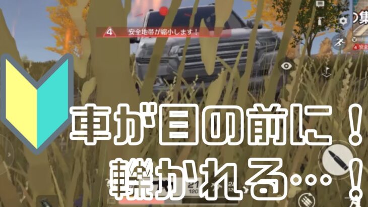 【初心者】車が目の前に！轢かれる…！【荒野行動】