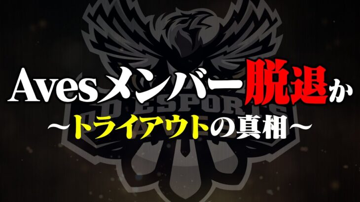 【ご報告】Avesメンバー脱退問題について…トライアウトの真相を公開します。【荒野行動】