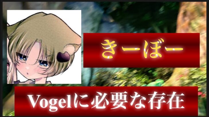 【荒野行動】プロリーグKOPL優勝へ導いた神司令塔。今Vogelに最も必要とされる存在