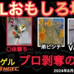 【荒野行動】Vogelが⋯。おやすみのエグい〇体撃ち⋯。おもしろ場面１０選！８月KWL２０２４DAY３ラウンド３【超無課金/αD/KWL/むかたん】Knives Out