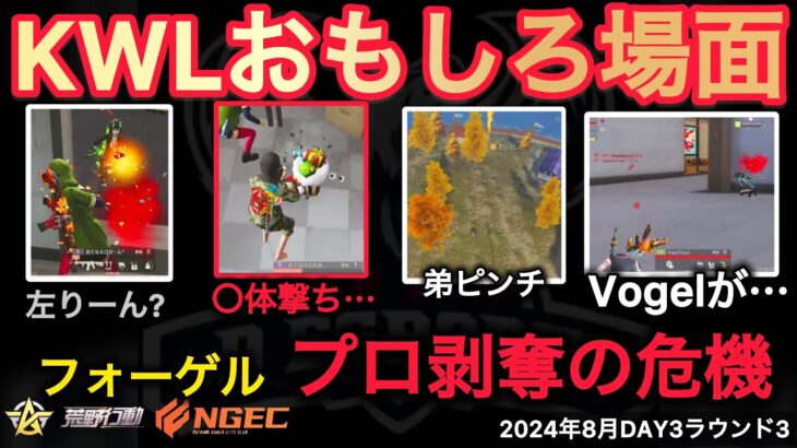 【荒野行動】Vogelが⋯。おやすみのエグい〇体撃ち⋯。おもしろ場面１０選！８月KWL２０２４DAY３ラウンド３【超無課金/αD/KWL/むかたん】Knives Out