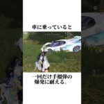 初心者のうちに知っておいた方が良いこと「車両編」【荒野行動】さなπ ＃shorts